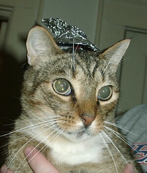 Isn't Fatboy cute? Thanks nativelady, for the picture.