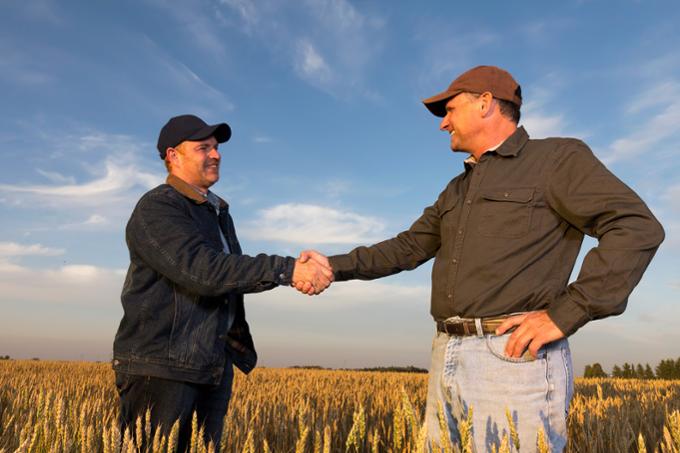 Two males shaking hands in a field with a blue sky.