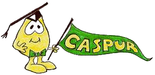 Caspur Logo