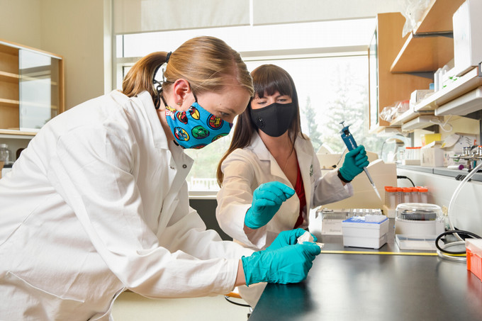 two people in a lab