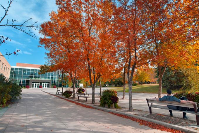 fall Riddell Centre shot