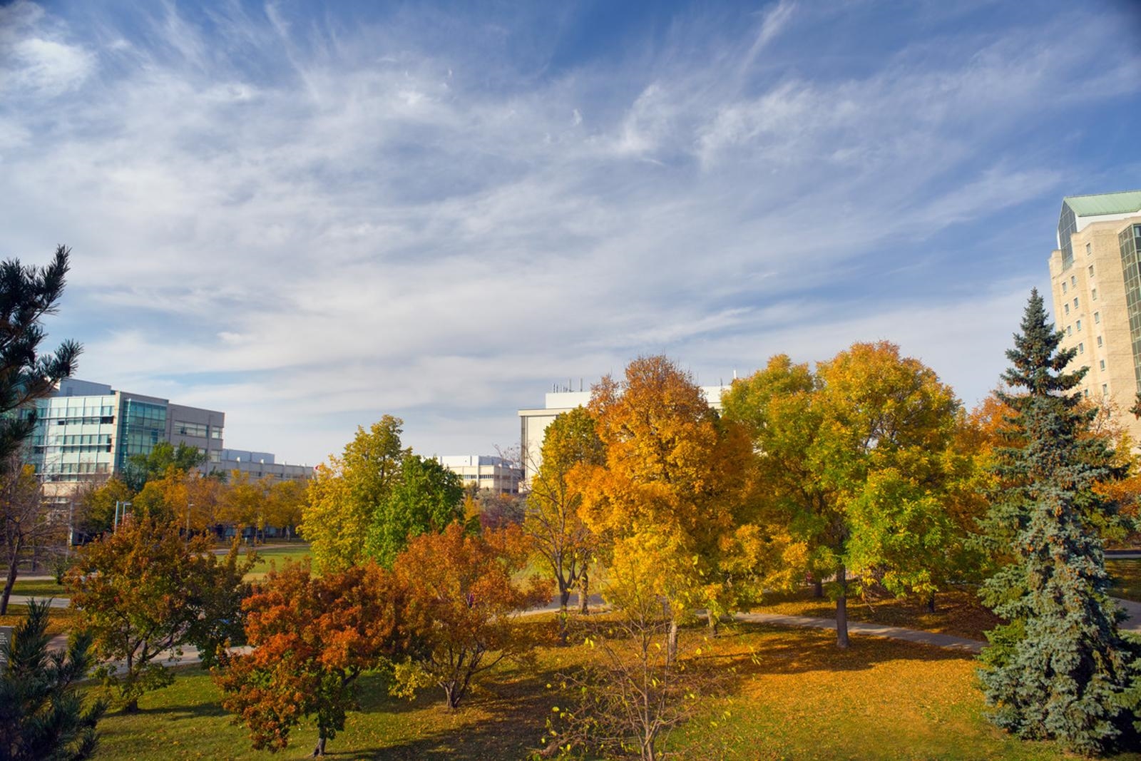 University of Regina