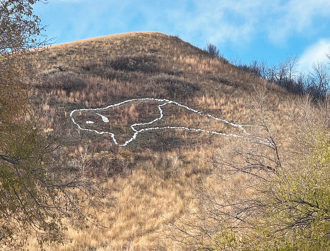 petroglyph of bison on hill near Fort Qu'Appelle