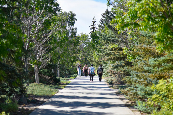 students walking on a path on campus, with their backs to the camera