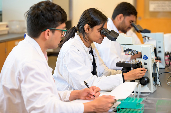 three students working in a lab with microscopes