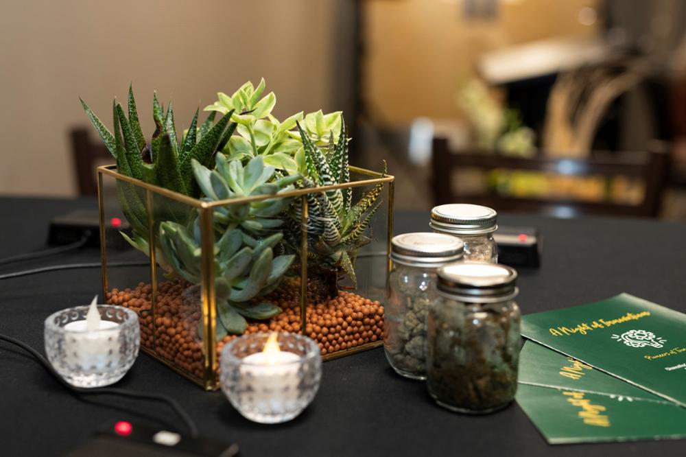 Close-up photo of a variety of succulents in a glass container and small jars of organic material and candles on table.