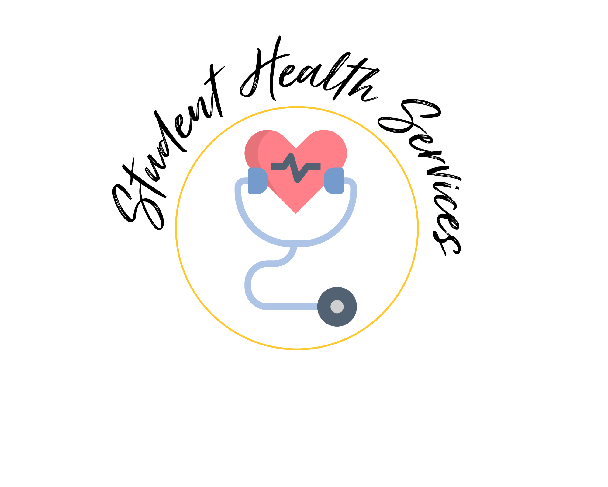 Health Services Icon