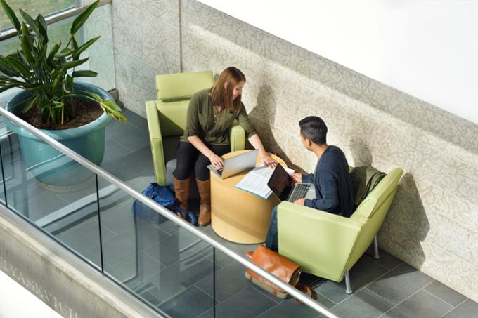 Students sitting in chairs studying