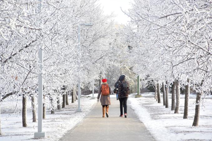 Students walking on campus in winter