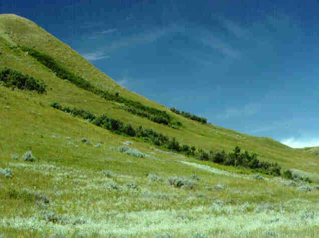 Geography 323 Geomorphology