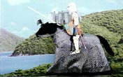 R/C Horse